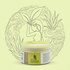 Smoothing and Toning Mud Face & Body | Ischia SPAEH