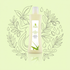 Olio Elasticizzante Smagliature | Ischia SPAEH